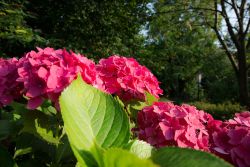 Einblicke rund um das Landgasthaus „Haus Splietker“