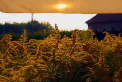 Einblicke rund um das Landgasthaus „Haus Splietker“