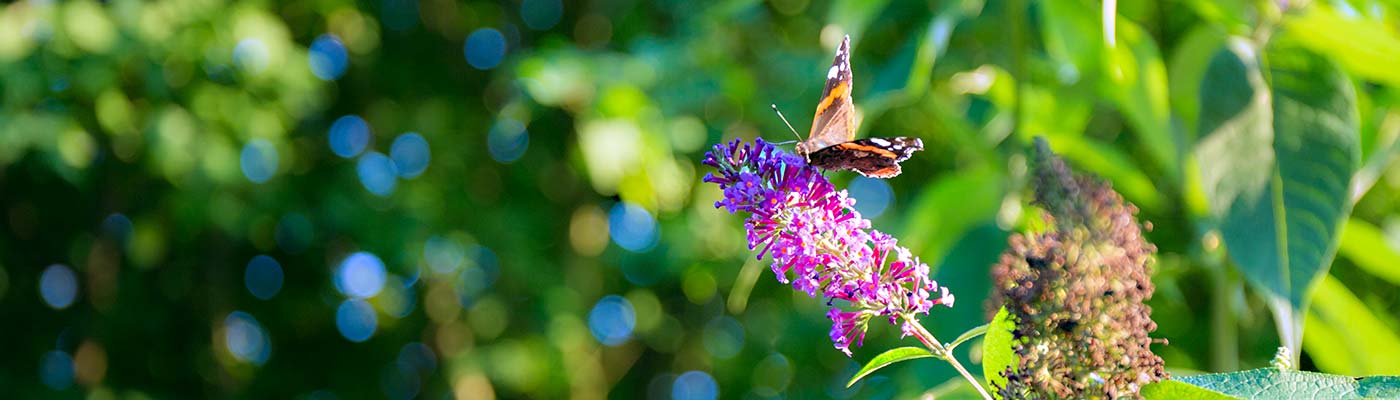 Landgasthaus „Haus Splietker“ in Süddkinker