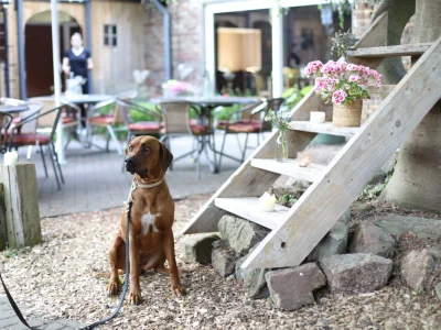 Glashaus | Landgasthaus Splietker