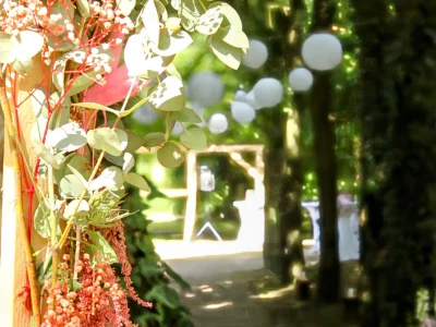 Freie Trauung im Hochzeitswald des Landgasthaus Splietker in Süddinker