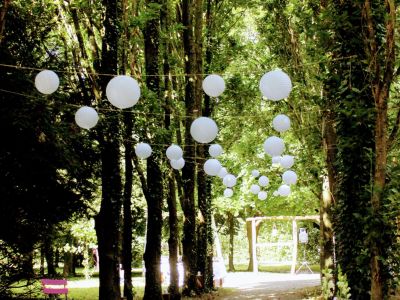 Freie Trauung im Hochzeitswald des Landgasthaus Splietker in Süddinker